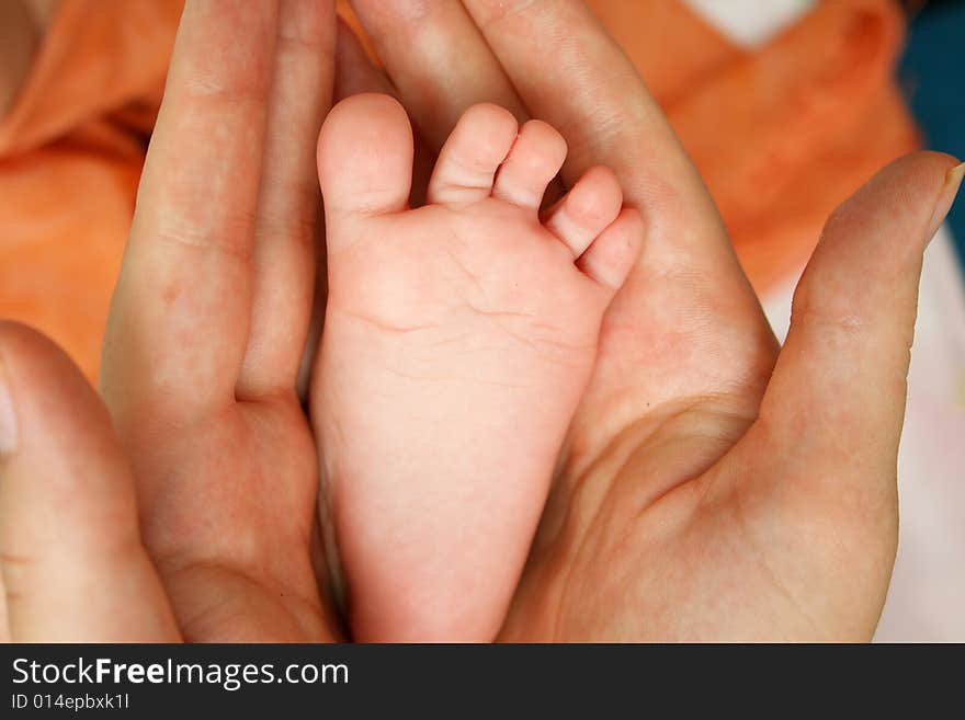 Mother holding food of his own little baby. Mother holding food of his own little baby.