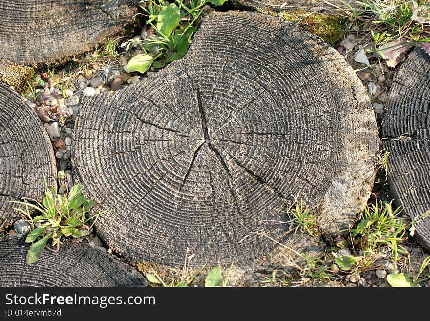 Wood circles on a ground