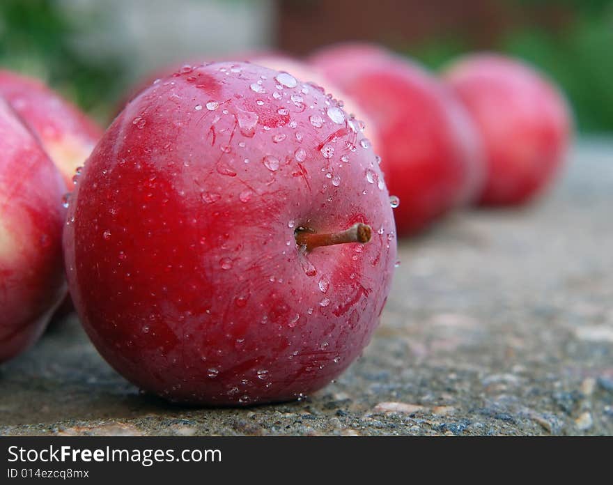 Red apples in a garden in dew