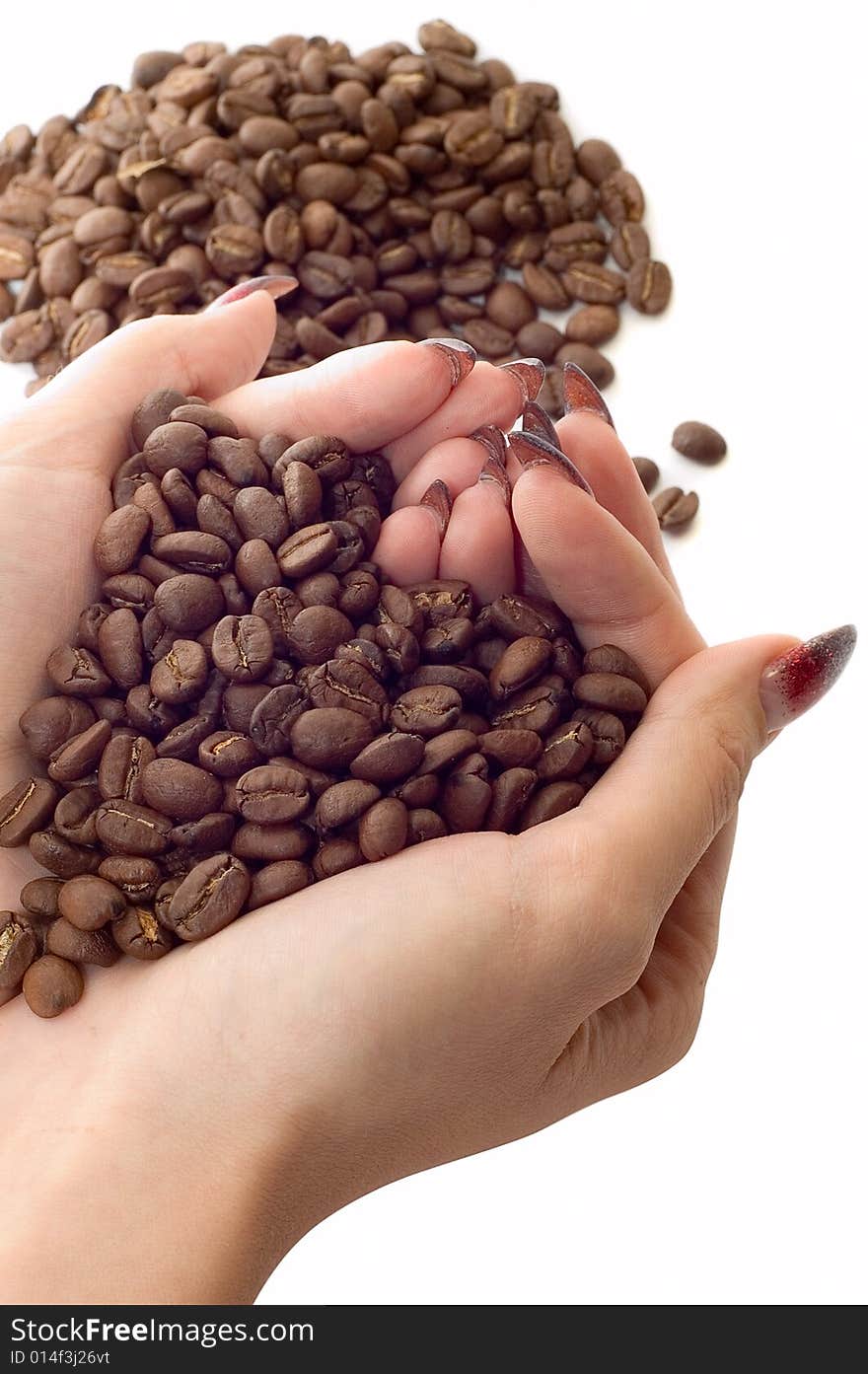 Female hands and coffee beans on white