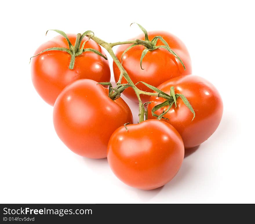 Fresh Tomatoes