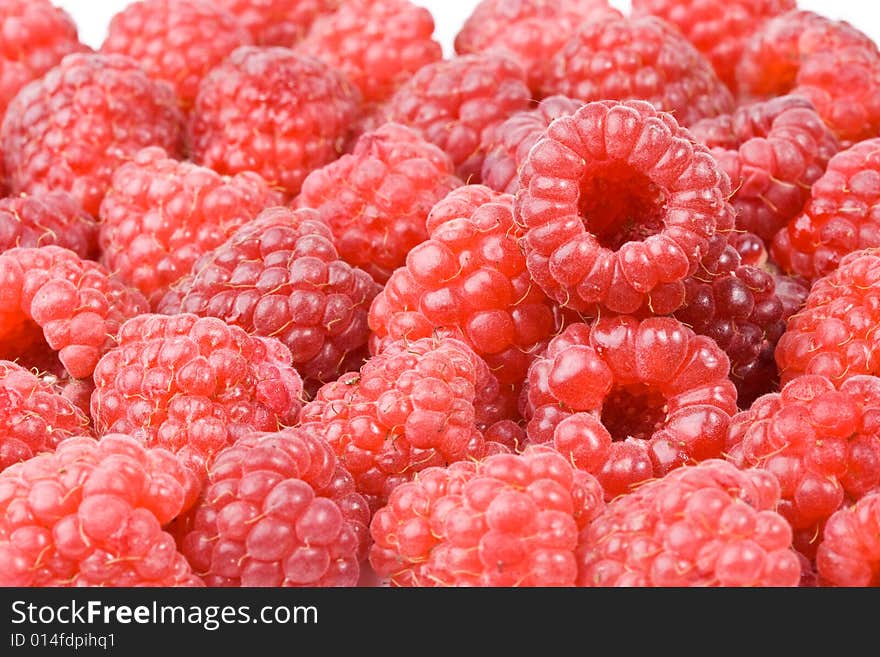 Fresh Raspberry