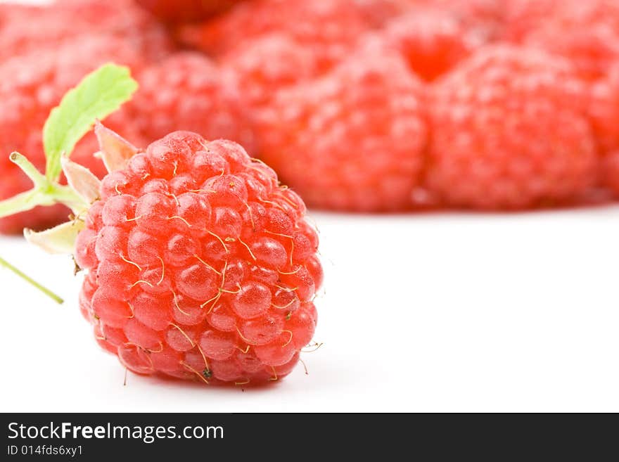 Fresh raspberry