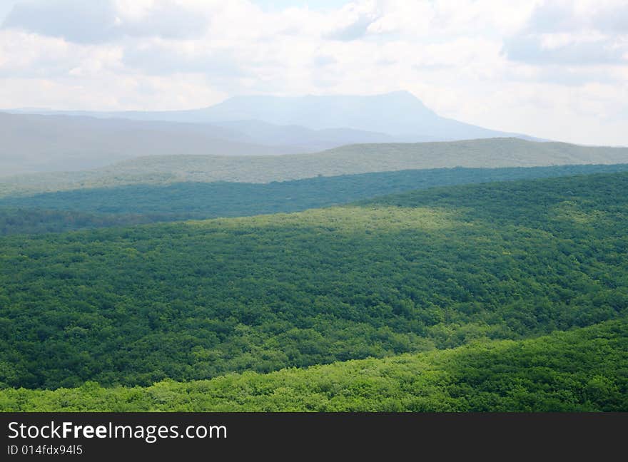 Beautiful mountain landscape with green forest in the foreground