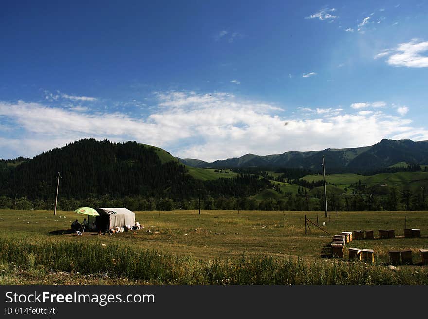 Mountain and apiary