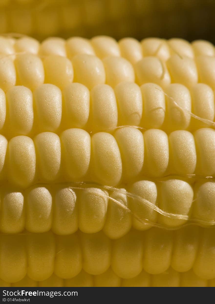 A closeup up of an ear of corn. A closeup up of an ear of corn.