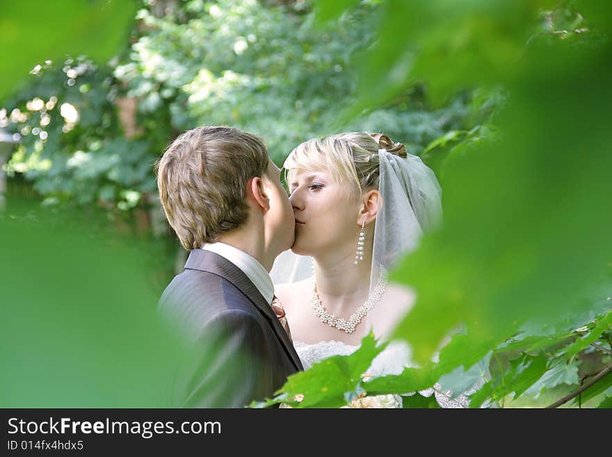 The bride and the groom during celebratory walk. The bride and the groom during celebratory walk