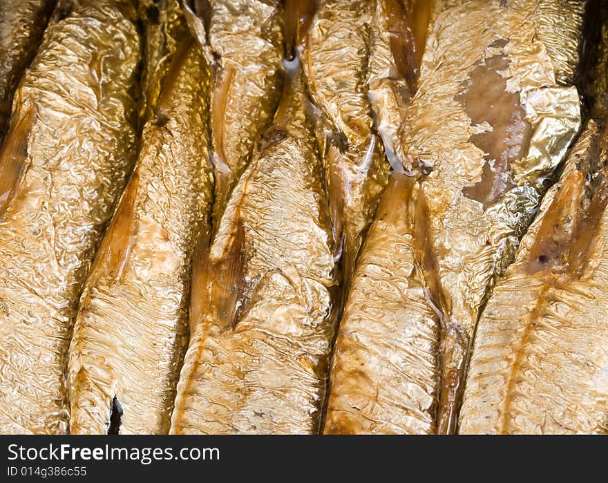 Can with sprats on a white background