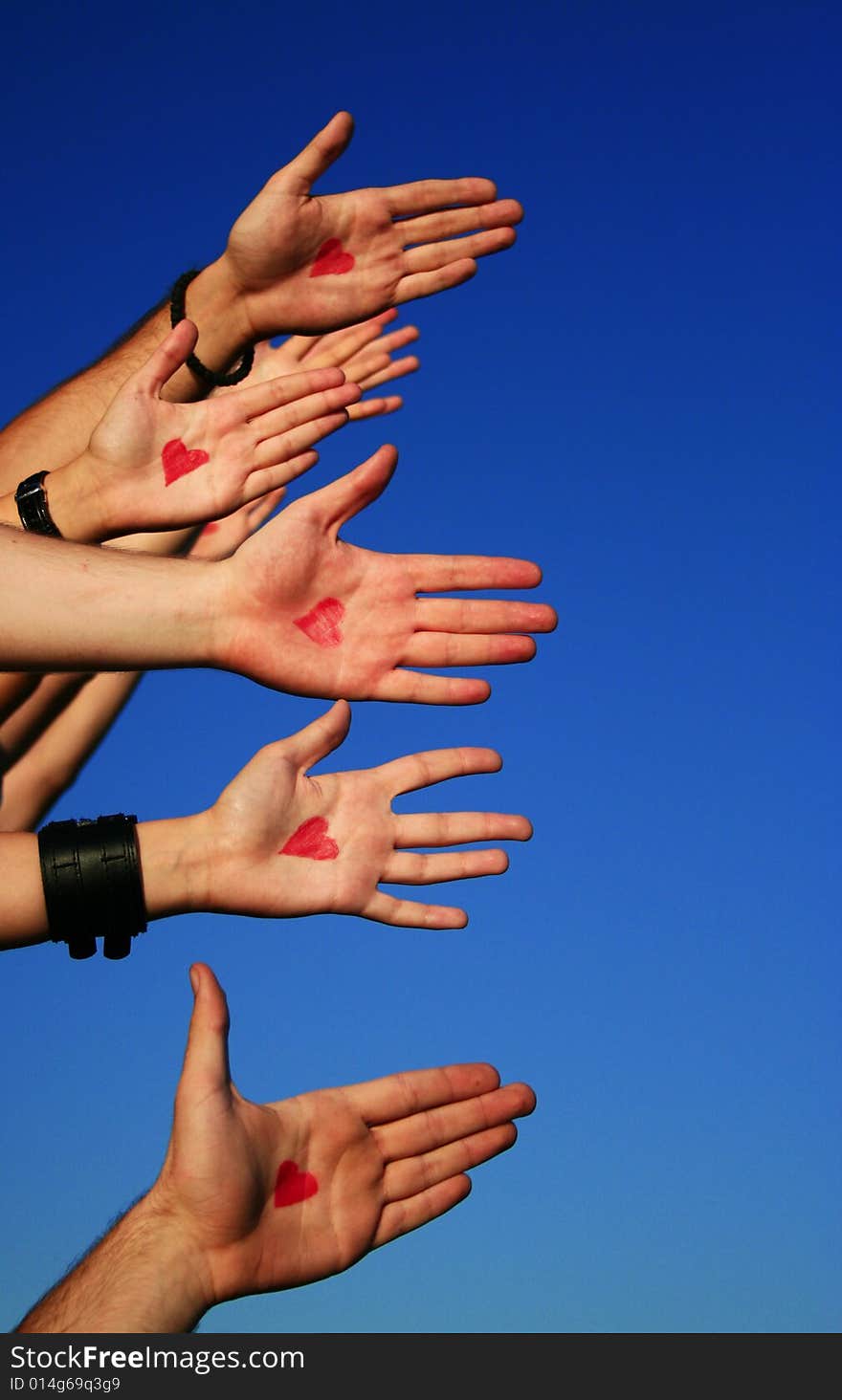 Shot of hands with drawn hearts on them. Shot of hands with drawn hearts on them