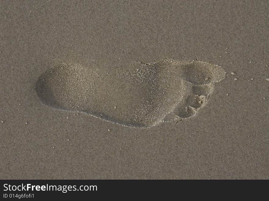 Footprint In The Sand