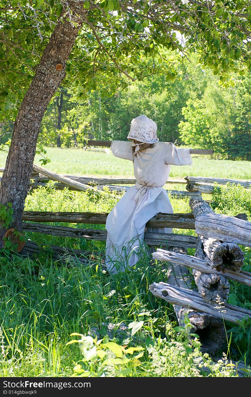 Scarecrow Perched On Fence