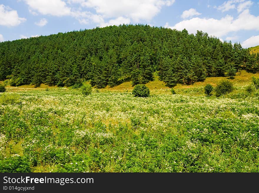 Countryside In Ukraine