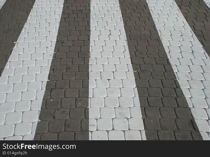 Zebra on cobbles