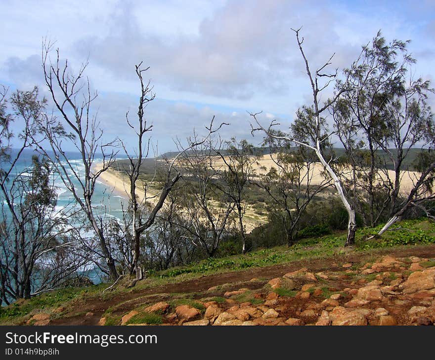 Overlooking beach and ocean at Fraser island