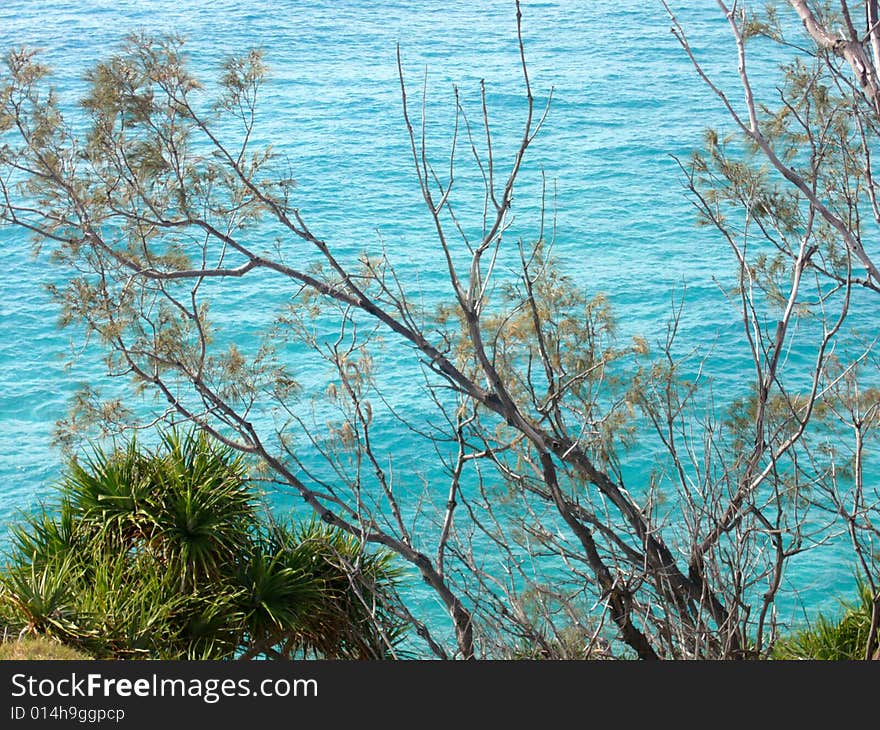 Overlooking ocean at Fraser island