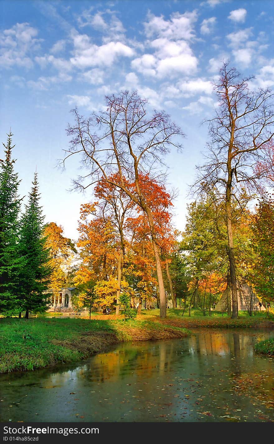 Autumn in the park