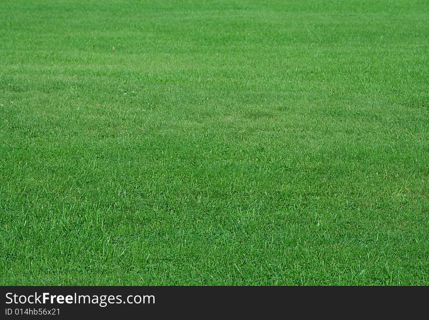 Beautifully cut field of summer grass. green spring or summer background.