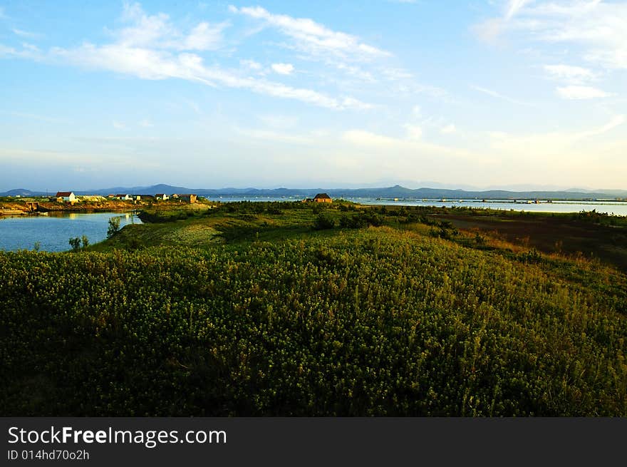 The shore meadows composes a scenery under the setting sun.