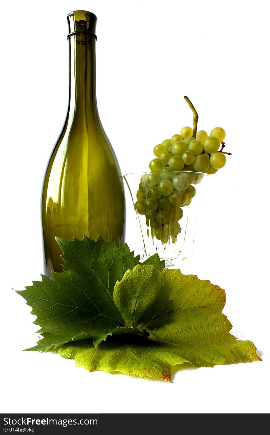 Grapevine (vitis vinifera) - berries with leaves a