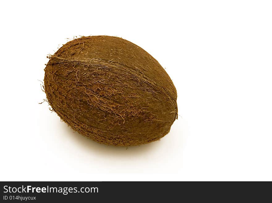 A single coconut isolated on white. Very high detail to the fibers on the nut.