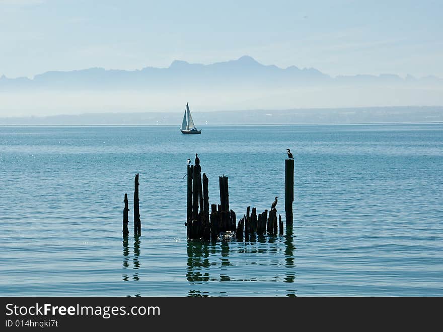 Sailboat  on the lake constance, germany with the alps in the background.