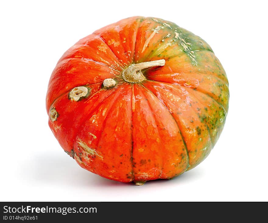 Colorful pumpkin