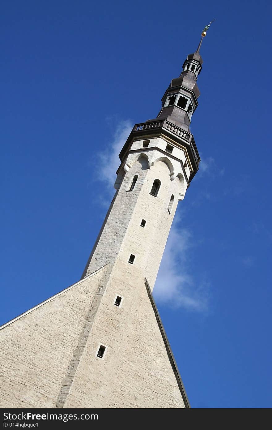 Town Hall Building In Tallinn