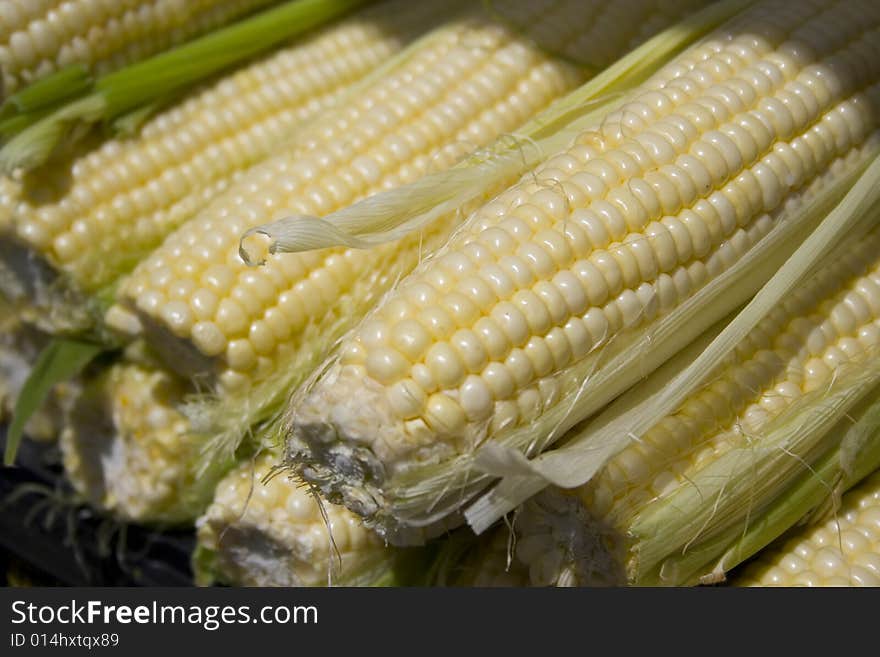 Husked organic yellow corn for sale shallow depth of field. Husked organic yellow corn for sale shallow depth of field