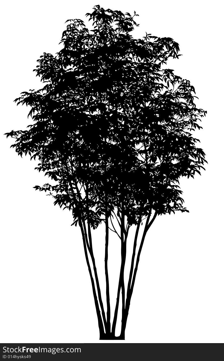 Silhouette of tree, vector art, detailed and very useful