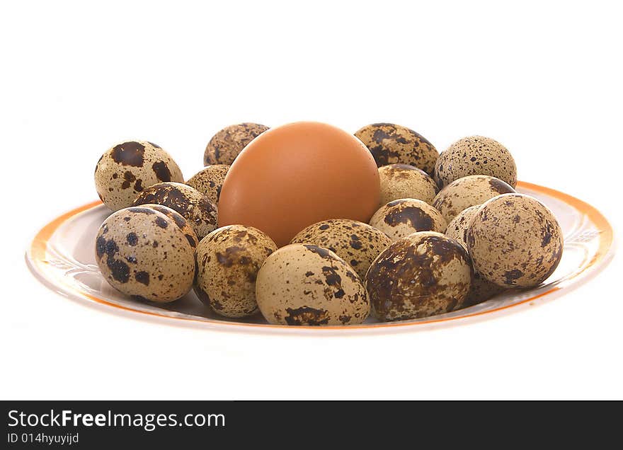 Photo bird eggs in a plate on a white background. Photo bird eggs in a plate on a white background.