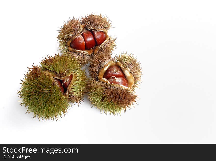 Chestnuts isolated on a white background