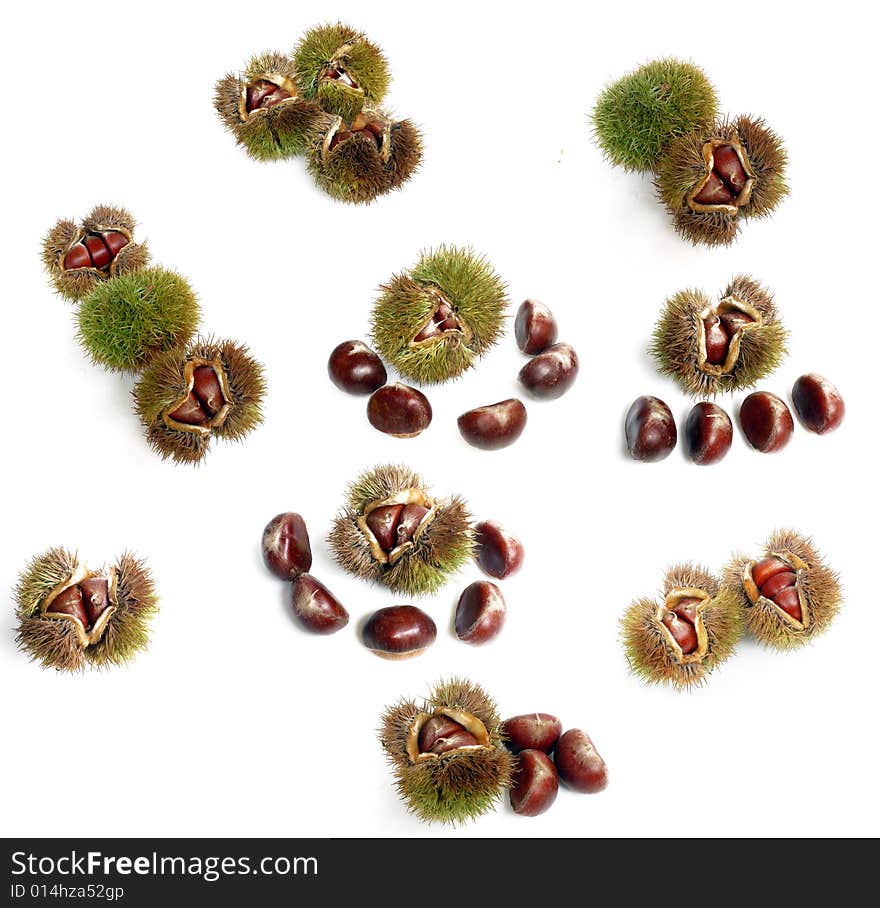 Many chestnuts isolated on a white background