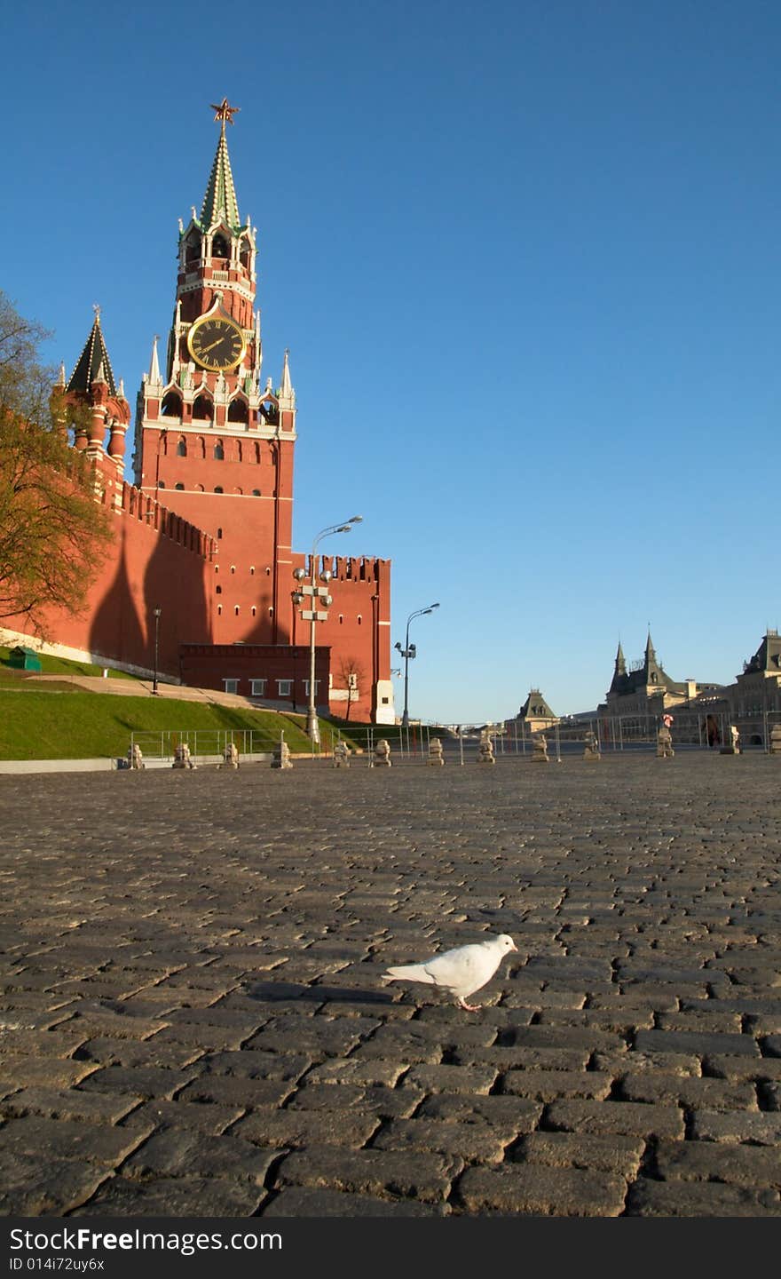 White Dove On Red Square In Moscow