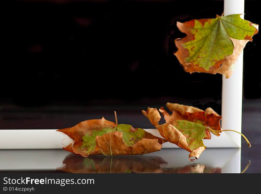 Frame with autumnal leaves against the black background