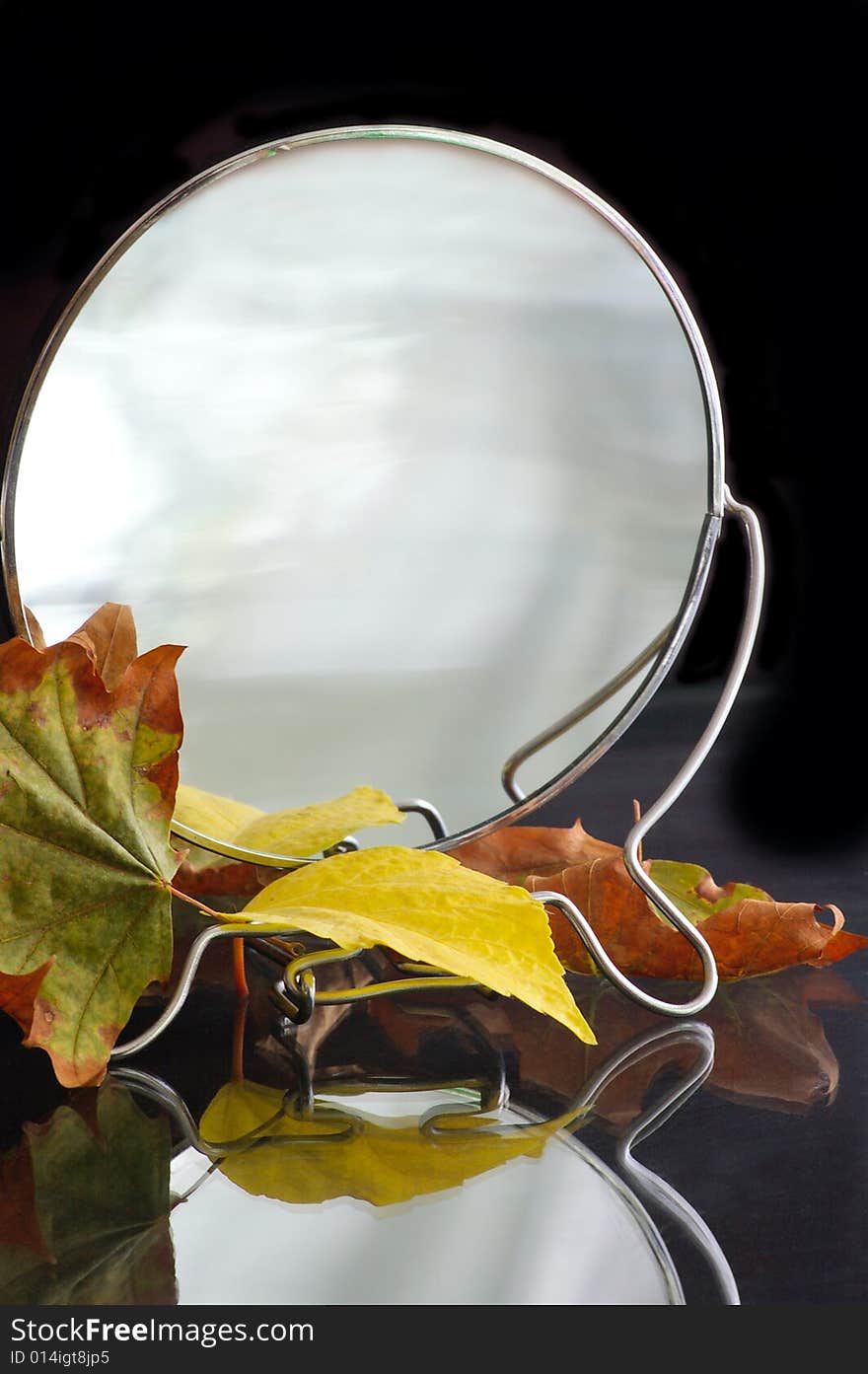 Mirror with autumnal leaves against the black background. Mirror with autumnal leaves against the black background