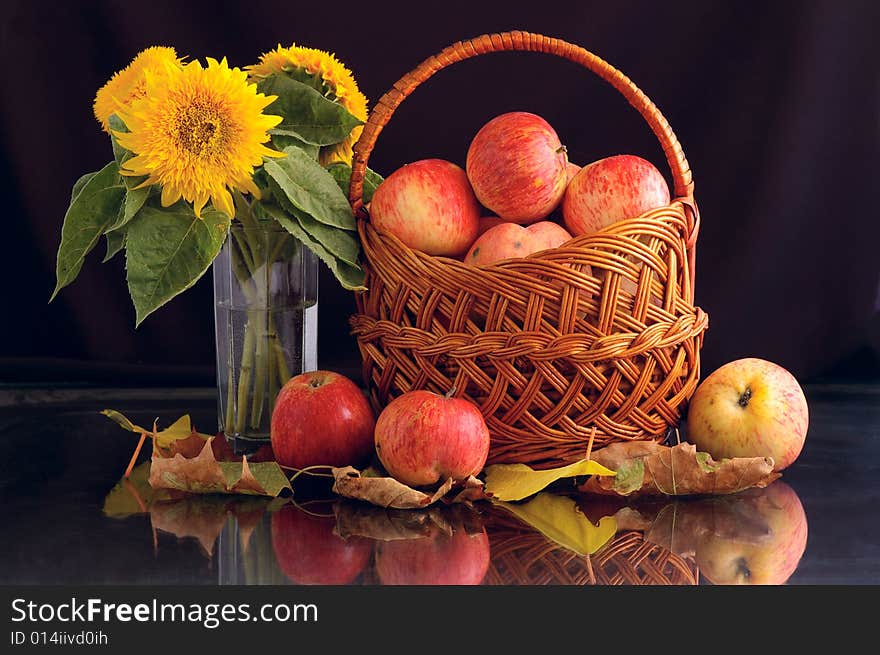 Still life from the apples and flowering against the black background. Still life from the apples and flowering against the black background