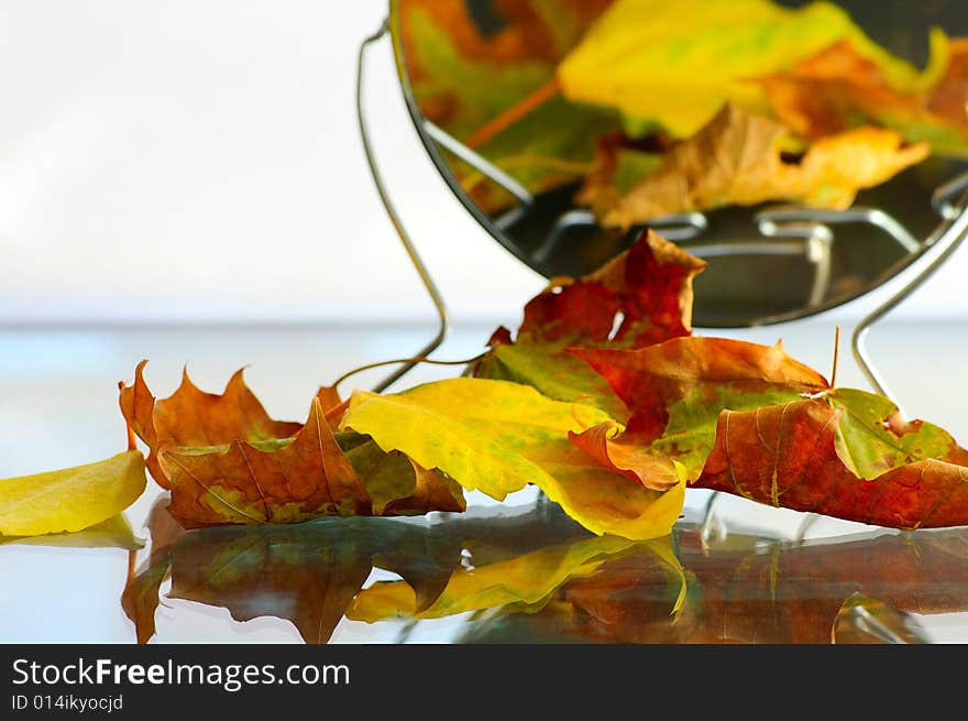 Several autumnal leaves are reflected in the mirror. Several autumnal leaves are reflected in the mirror