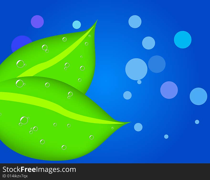 Two leaves with dew, vector illustration