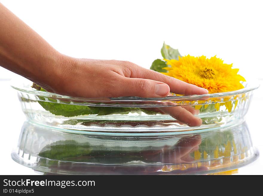 Female hand lowered into the basin with the pure water. Female hand lowered into the basin with the pure water