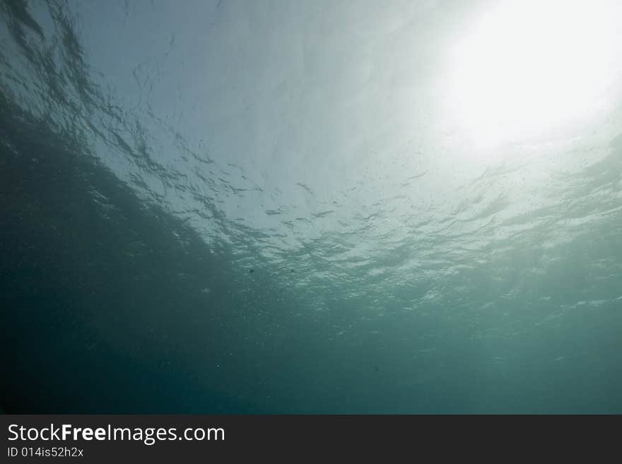 Ocean taken in the Red Sea.