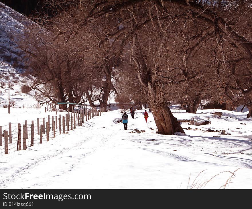 Snow Road