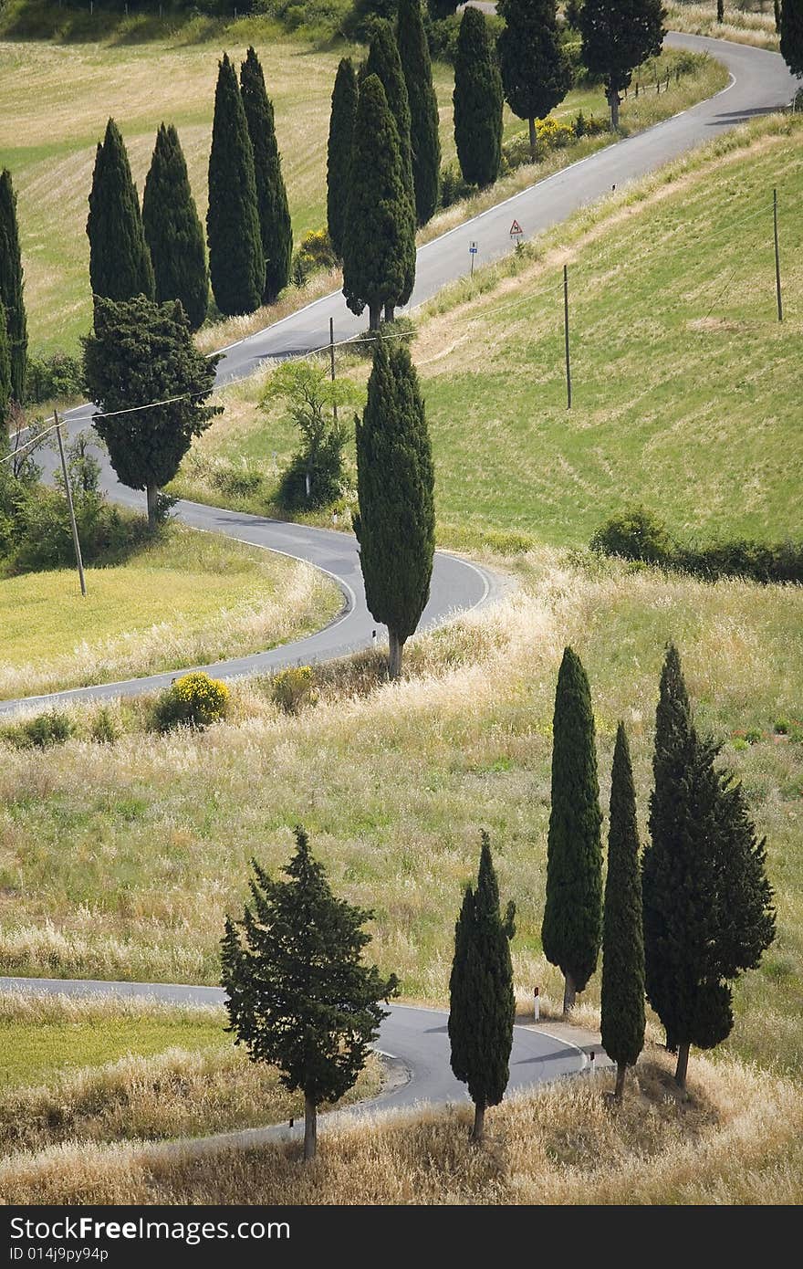 TUSCANY countryside, devious street with cypress