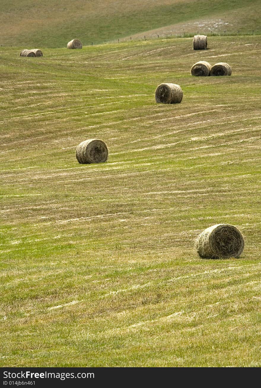 Tuscany countryside, hayball