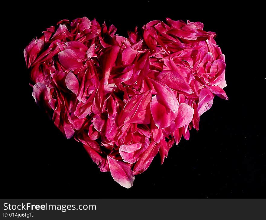 Heart made of petals on black background. Heart made of petals on black background