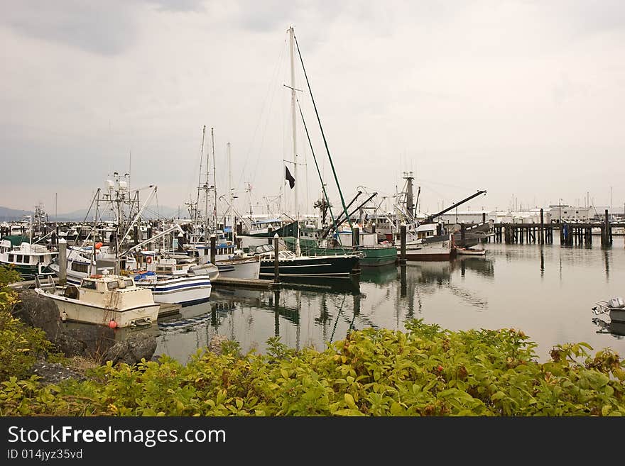 Fishing Boats Over Hedge