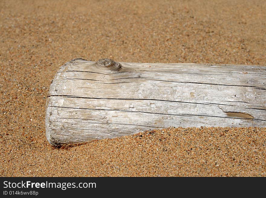 Dry tree trunk in sand on the beach.