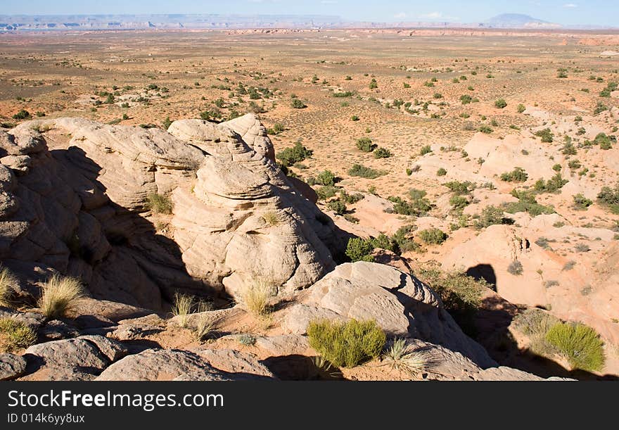 Arizona desert