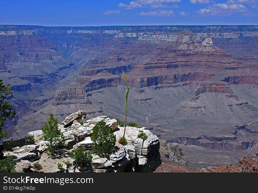 Spectacular view from Mother Point at Grand Canyon National Park. Spectacular view from Mother Point at Grand Canyon National Park