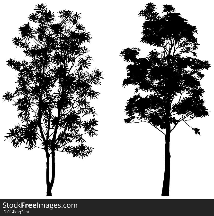 Silhouette of trees, vector art, detailed and very useful. Silhouette of trees, vector art, detailed and very useful