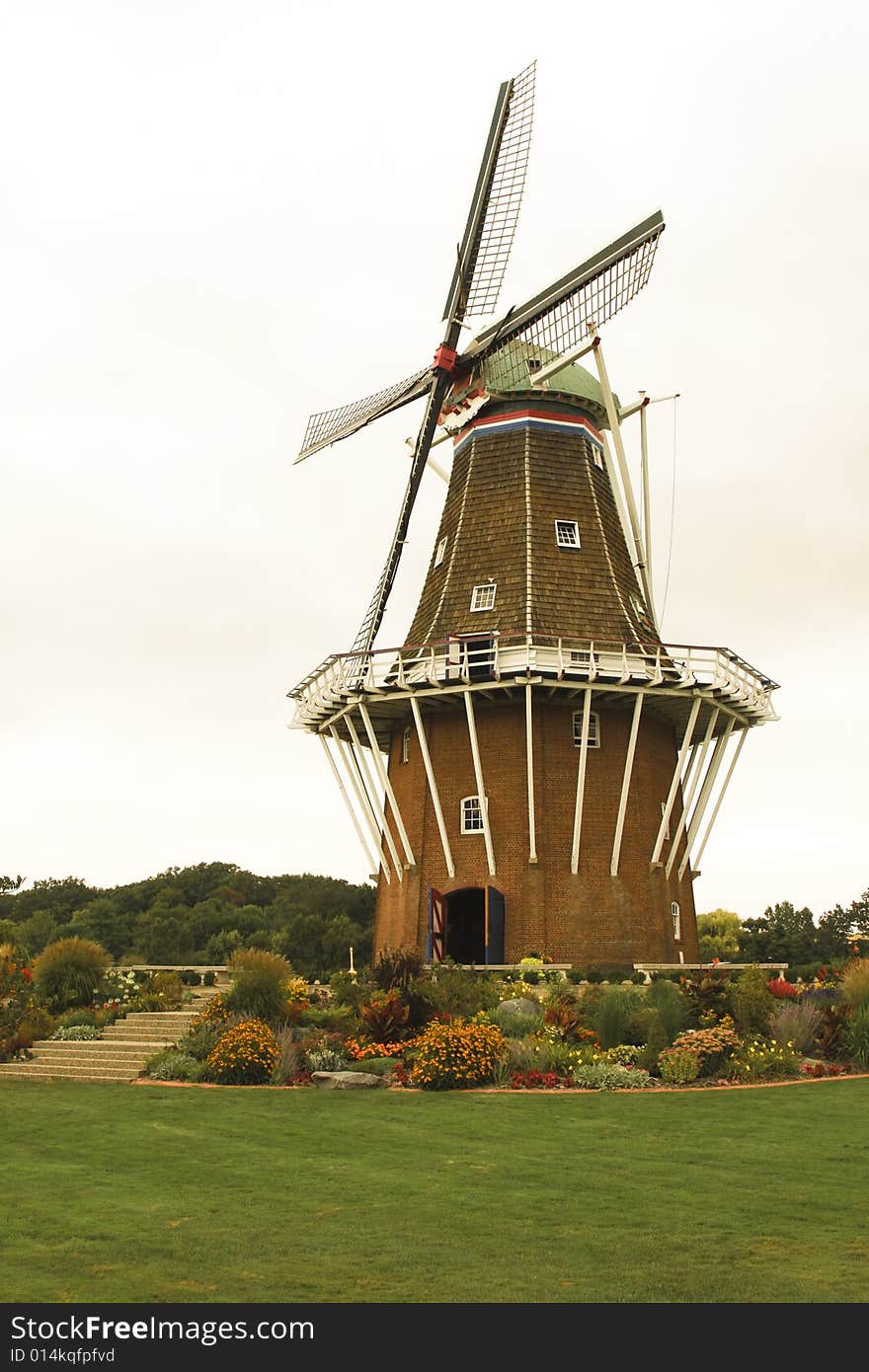 Dutch windmill and display of tulips